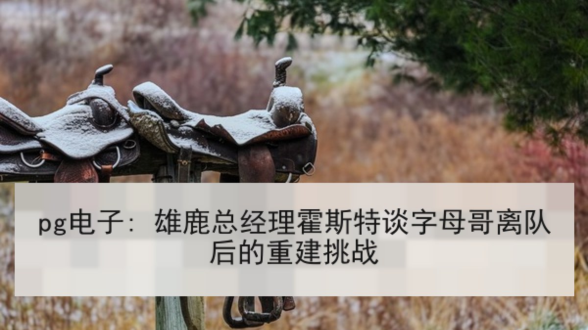 pg电子: 雄鹿总经理霍斯特谈字母哥离队后的重建挑战