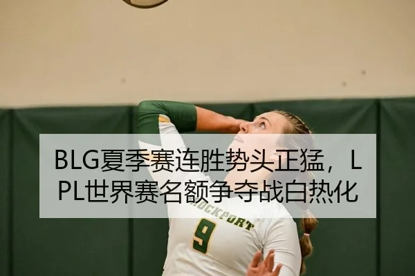 BLG夏季赛连胜势头正猛，LPL世界赛名额争夺战白热化