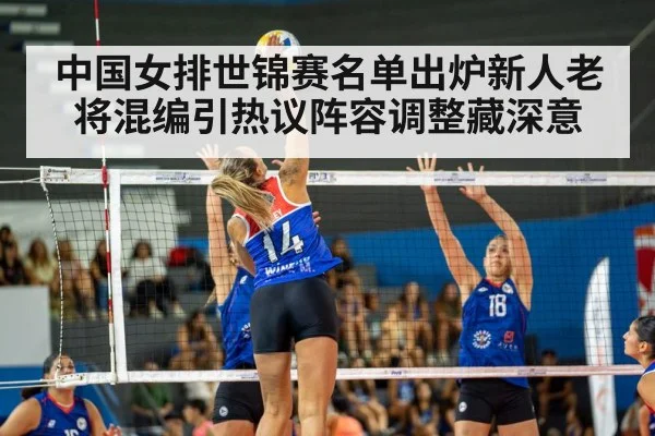 volleyball match