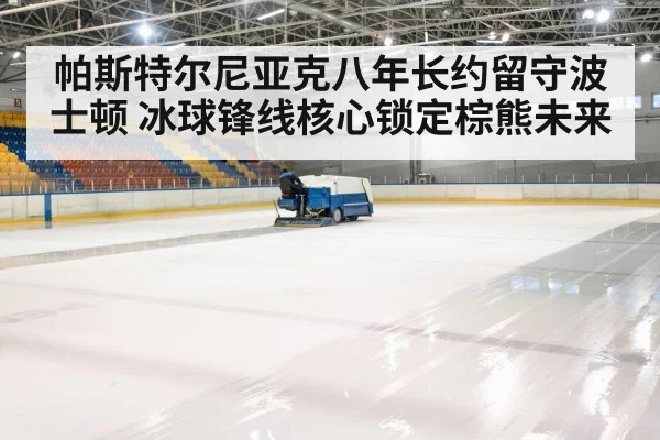 ice hockey arena