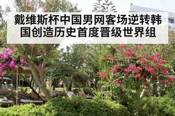 戴维斯杯中国男网客场逆转韩国创造历史首度晋级世界组