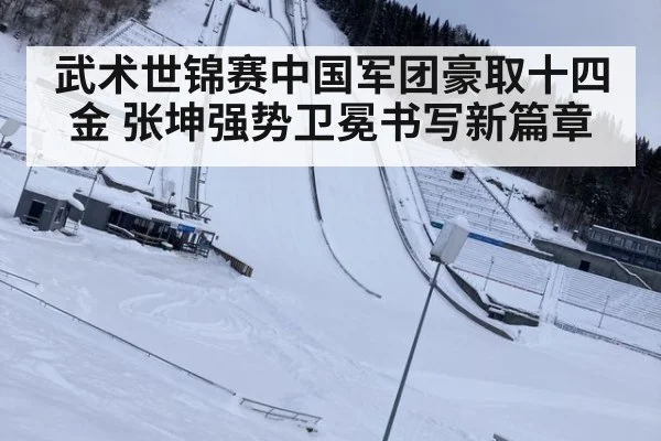 武术世锦赛中国军团豪取十四金 张坤强势卫冕书写新篇章