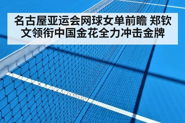 hard court tennis match